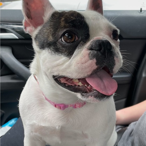 Meet your Posher, Lorrie - Picture 2 of 8